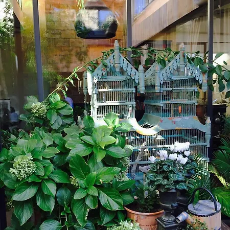 Bed & Breakfast La Maison Rousseau D'hotes Nîmes