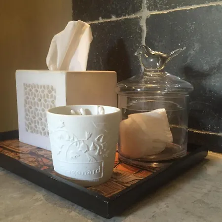 La Maison Rousseau D'hotes Bed & Breakfast Nîmes