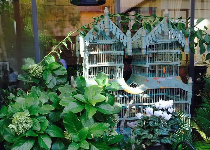 ベッド・アンド・ブレックファスト La Maison Rousseau D'hotes ニーム